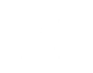 Quantum Logistics International Transport Logistics